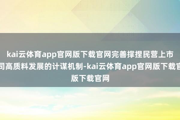 kai云体育app官网版下载官网完善撑捏民营上市公司高质料发展的计谋机制-kai云体育app官网版下载官网