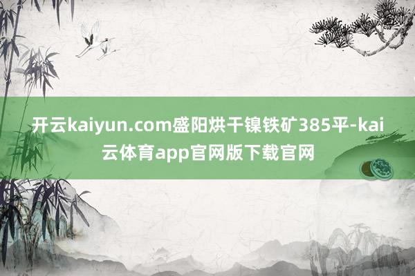 开云kaiyun.com盛阳烘干镍铁矿385平-kai云体育app官网版下载官网